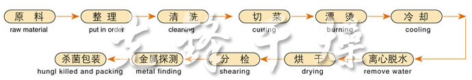 新澳门2024免费原料网