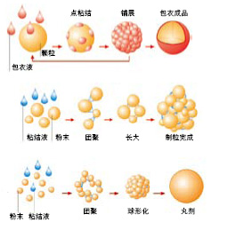 新澳门2024免费原料网