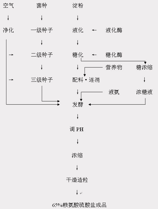 新澳门2024免费原料网