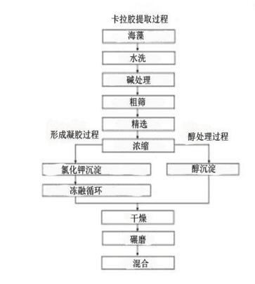 新澳门2024免费原料网